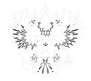 Разработчик российского компьютерного программного обеспечения