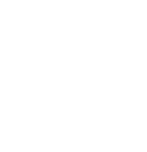 Производитель реестровой компьютерной техники